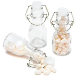 Mini Glass Favor Jars - 2-Ounce Bottle With Swing Top: 12-Piece Set